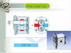 外嚙合齒輪泵和齒輪馬達
